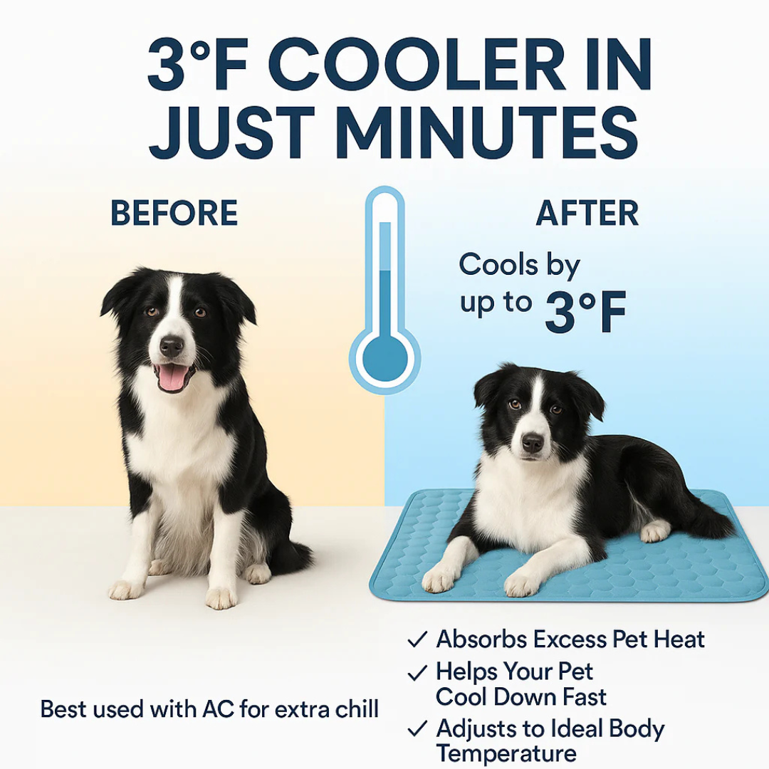 Dog Cooling Mat